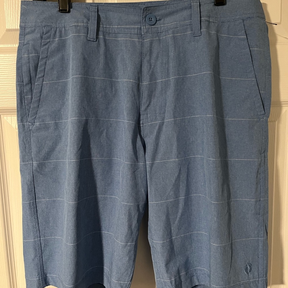 Mens Hang Ten Shorts size 32
